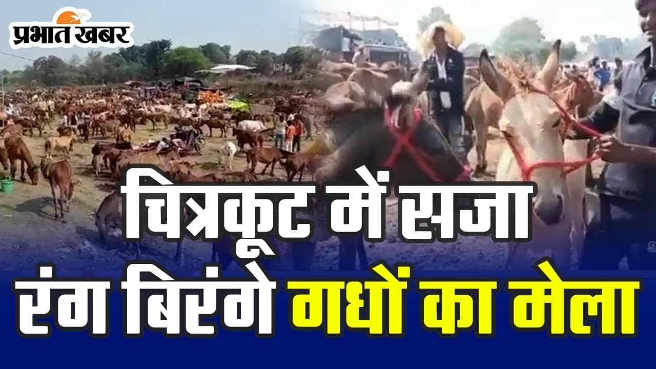 Diwali Festival 2023: जानिए क्यों खास है चित्रकूट में लगने वाला गधों का ऐतिहासिक मेला