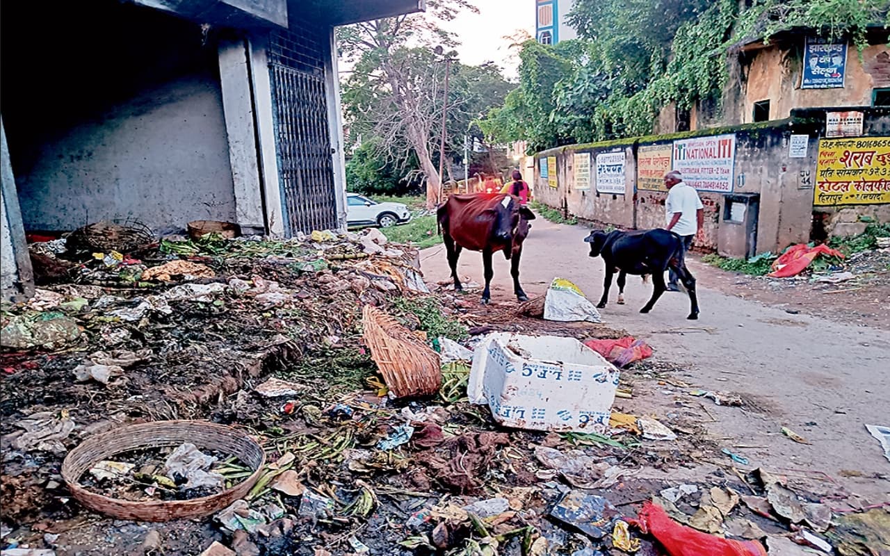 धनबाद में कैसे सेहतमंद रहेंगे लोग? निगम क्षेत्र में कचरे पर किचकिच बरकरार, आज से फिर ठप होगा सफाई का काम