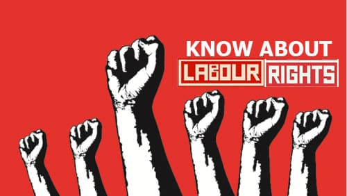 Labour Day 2021: ड्यूटी के दौरान दुर्घटनाग्रस्त होने से लेकर बीमारी होने पर मिलता है मुआवजा, यहां जानें मजदूरों के ये खास अधिकार