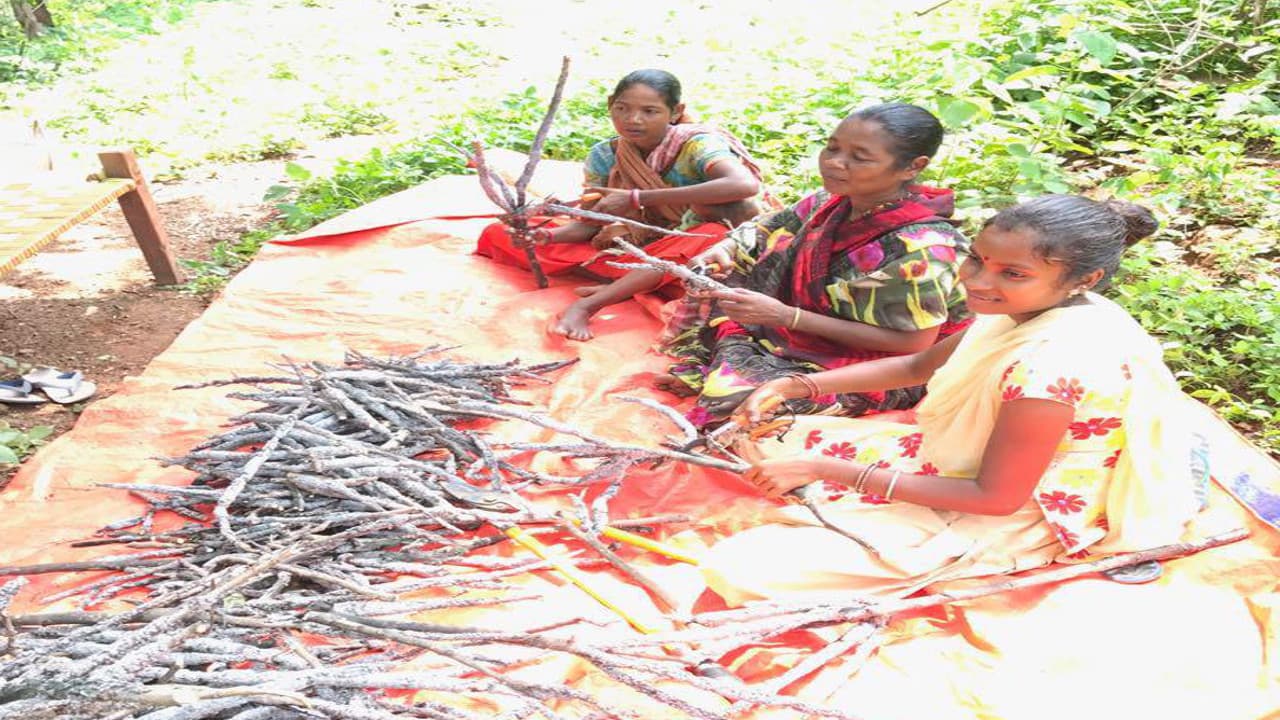 लाह उत्पादन से झारखंड के 73 हजार किसान जुड़े, महिला किसान भी वैज्ञानिक खेती से हो रहीं सशक्त