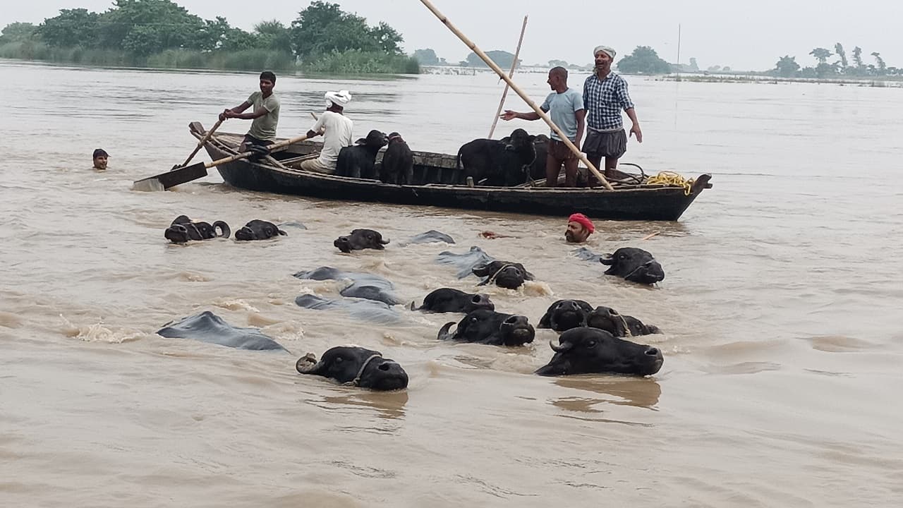 Bihar Flood: लखीसराय में भी बाढ़ का संकट गहराया, बड़हिया नगर के निचले इलाकों में घुसा गंगा का पानी, तबाही