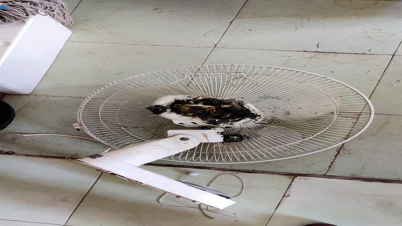 Jharkhand News: RJD सुप्रीमो Lalu Yadav के कमरे के पंखे में लगी आग, पलामू में टला बड़ा हादसा