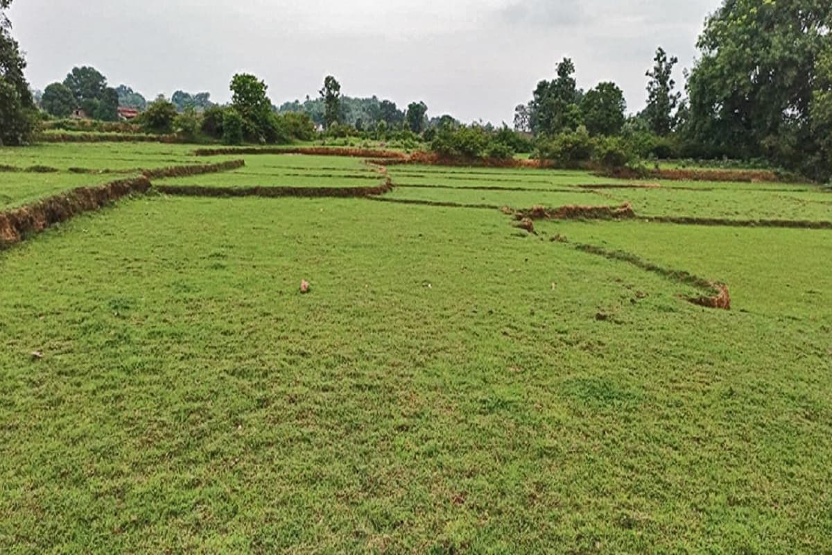 लातेहार के बारियातू अंचल के नये सर्वे में नचना व गाड़ी मौजा के करीब तीन हजार एकड़ भूमि ऑनलाइन नहीं