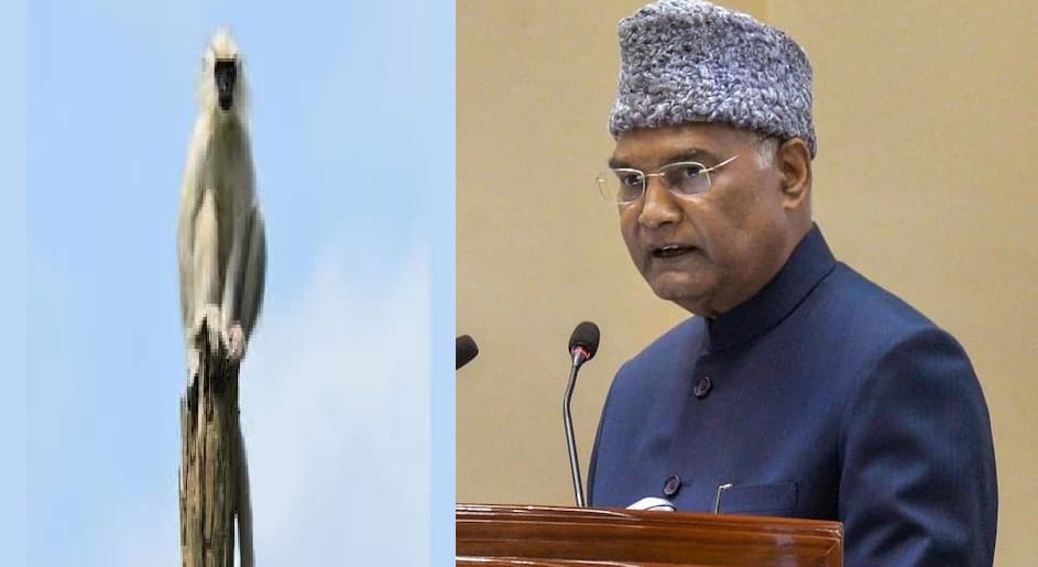 Mathura: राष्ट्रपति कोविंद के चश्मे पर रहेगी खुराफाती बंदरों की नजर, सुरक्षा में तैनात रहेंगे ये एक्सपर्ट