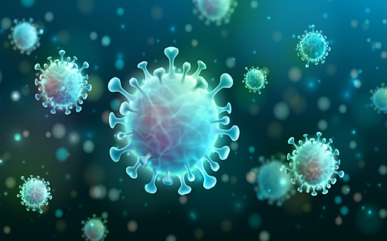 Langya virus: क्या है लैंग्या वायरस, कितनी खतरनाक है ये बीमारी, जानें इसके लक्षण और बचने के उपाय