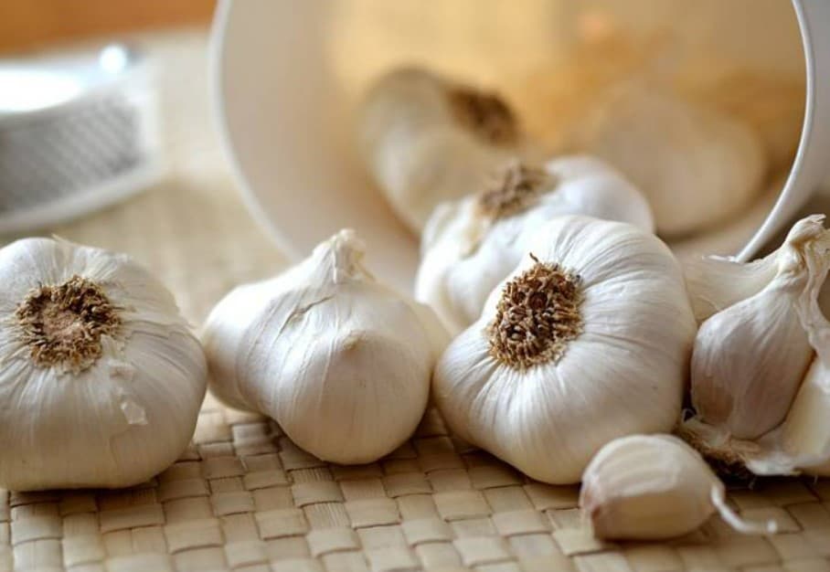 Garlic Benefits: सर्दियों में जानलेवा बीमारियों से बचाएगा लहसुन, जानें गुणकारी लाभ