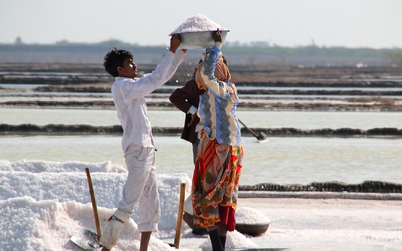 गुजरात चुनाव 2022: 8 हजार परिवार हर बार मतदान करने से रह जाते है वंचित! कौन सुनेगा 'अगरिया' की पुकार?