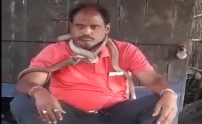 Video Viral : नाग-नागिन को गले में लपेटे इस तरह से नजर आए बिहार के लोजपा नेता बेचू तिवारी