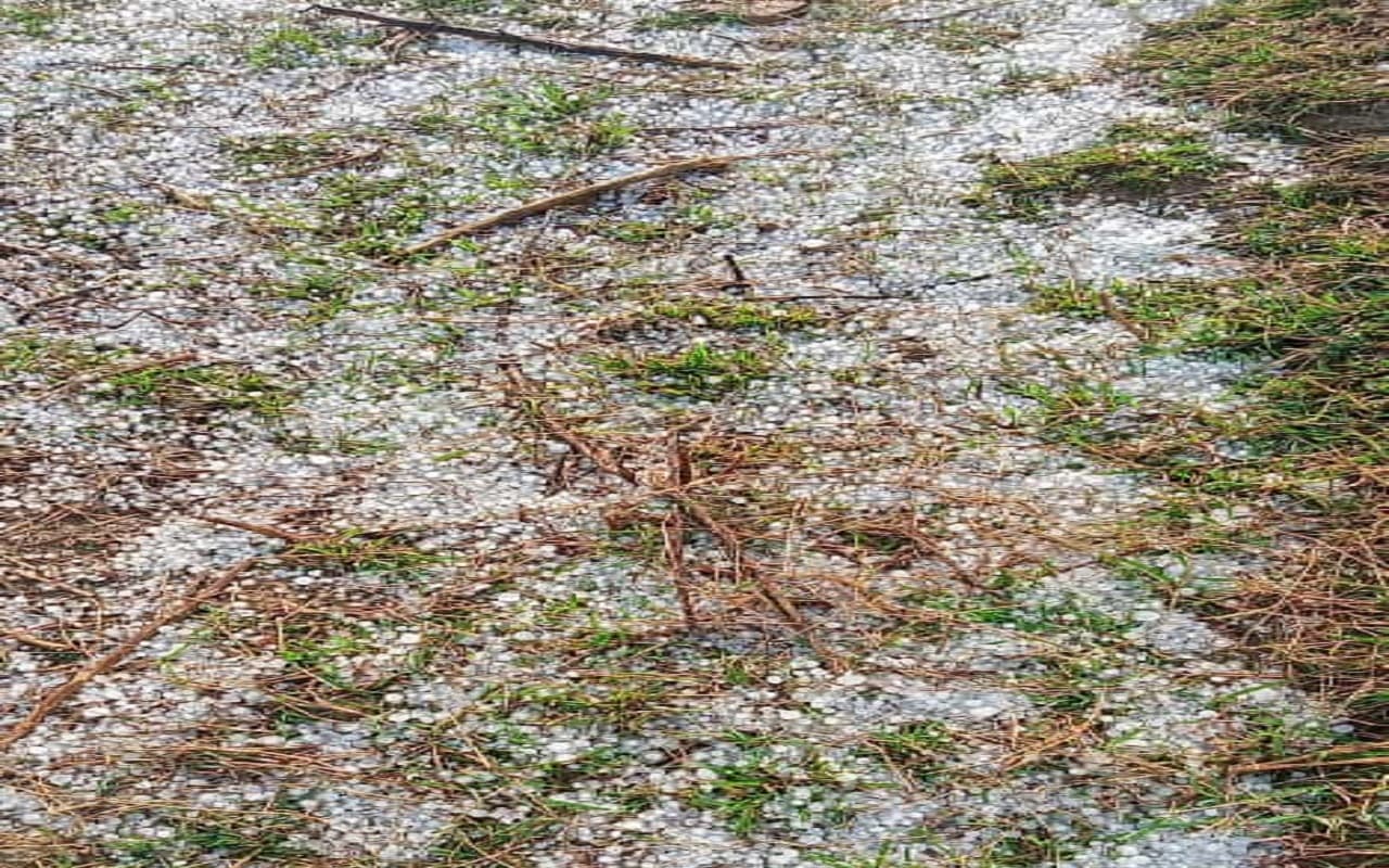 Jharkhand Weather: आंधी-तूफान के साथ मूसलाधार बारिश, ओलावृष्टि से फसलें बर्बाद, करीब 5 लाख रुपये का नुकसान