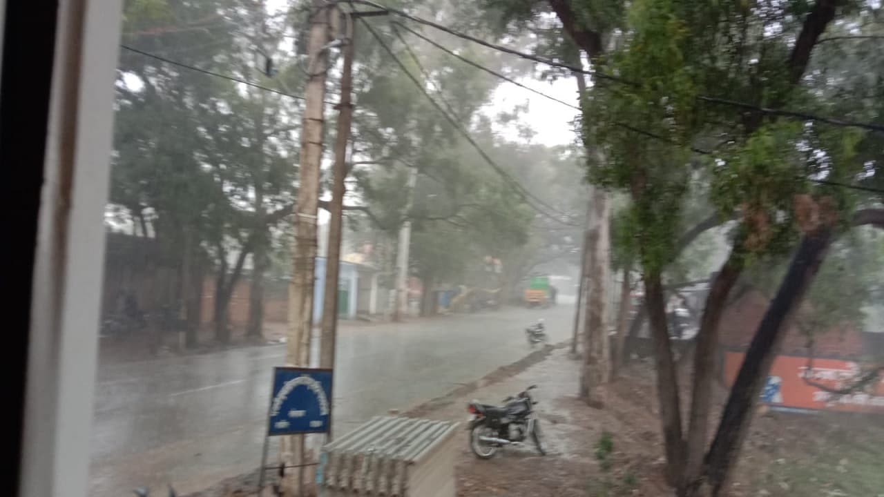 Jharkhand Weather Forecast: झारखंड के लोहरदगा में बेमौसम बारिश से गिरा तापमान, ठंडी हवाओं से बढ़ी कनकनी Jharkhand Weather Forecast: झारखंड के लोहरदगा में बेमौसम बारिश से गिरा तापमान, ठंडी हवाओं से बढ़ी कनकनी