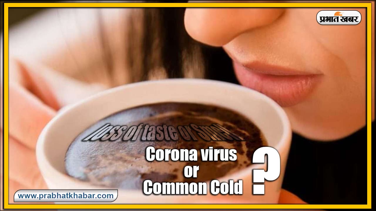 गंध और स्वाद में बदलाव Corona या आम फ्लू के लक्षण? अब ऐसे करें पता, नये अध्ययन में हुआ खुलासा