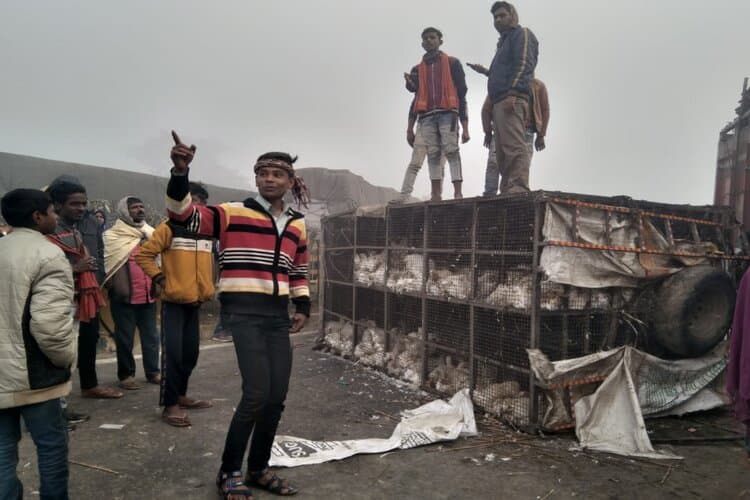 Bihar News: मधुबनी में NH-57 पर भिड़ीं कई गाड़ियां, ट्रक दुकान में घुसा, दो लोगों की  मौत