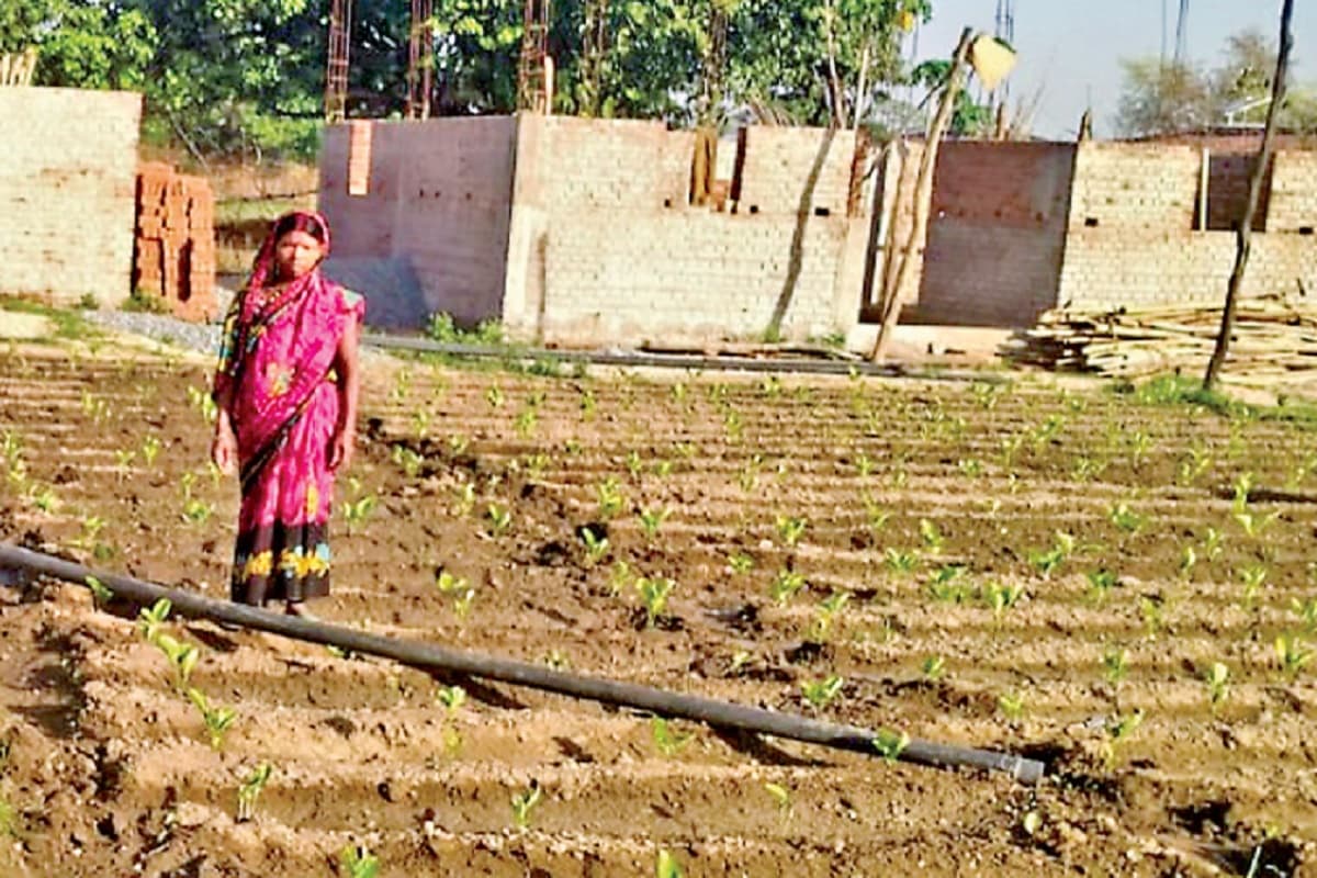 लोहरदगा की महेश्वरी देवी बकरी पालन और खेती से कर रही अच्छी आमदनी, महिलाओं के लिए बनी प्रेरणा स्रोत