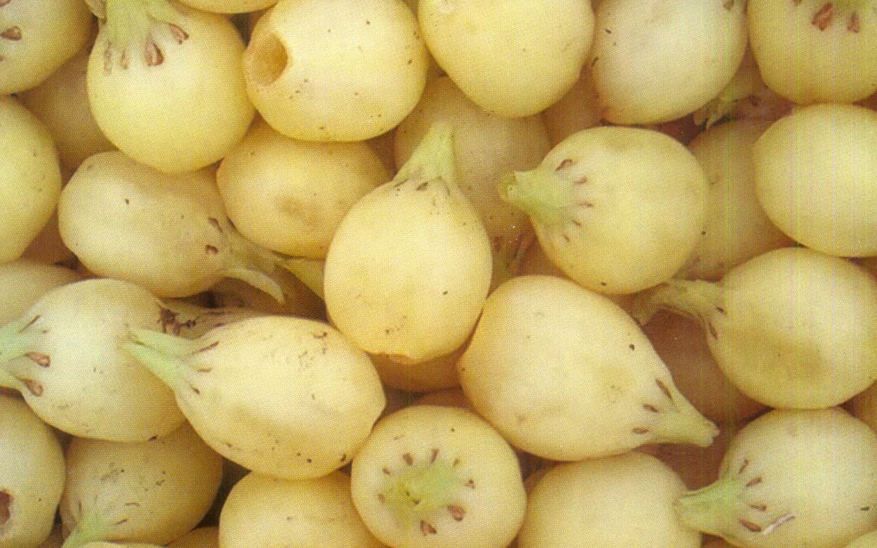 आदिवासियों की आय का मुख्य स्रोत है ‘झारखंड का किशमिश’, फायदे जानकर आप भी हो जायेंगे इसके मुरीद