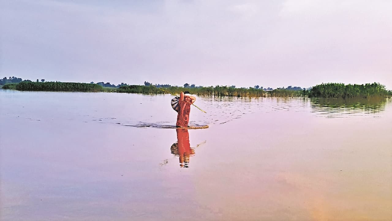 बिहार: बारिश के बाद नदी का बढ़ा जलस्तर, बांध में पड़ी दरार, बाढ़ के खतरे से ग्रामीणों में दहशत