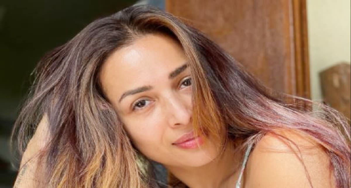 नो-फिल्टर पिक्चर्स में कुछ ऐसी लगती हैं Malaika Arora, फराह खान के कमेंट ने खींचा फैंस का ध्यान नो-फिल्टर पिक्चर्स में कुछ ऐसी लगती हैं Malaika Arora, फराह खान के कमेंट ने खींचा फैंस का ध्यान