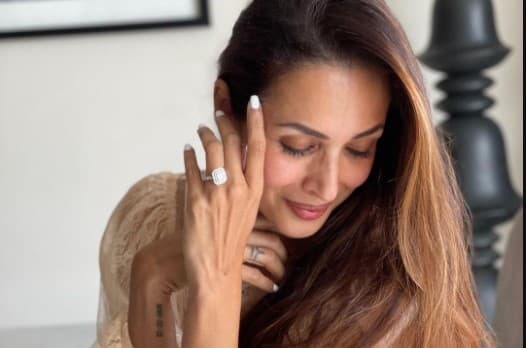 मलाइका अरोड़ा ने कर ली है सगाई? इस तसवीर को देख अर्जुन कपूर का नाम लेकर बधाई दे रहे फैंस