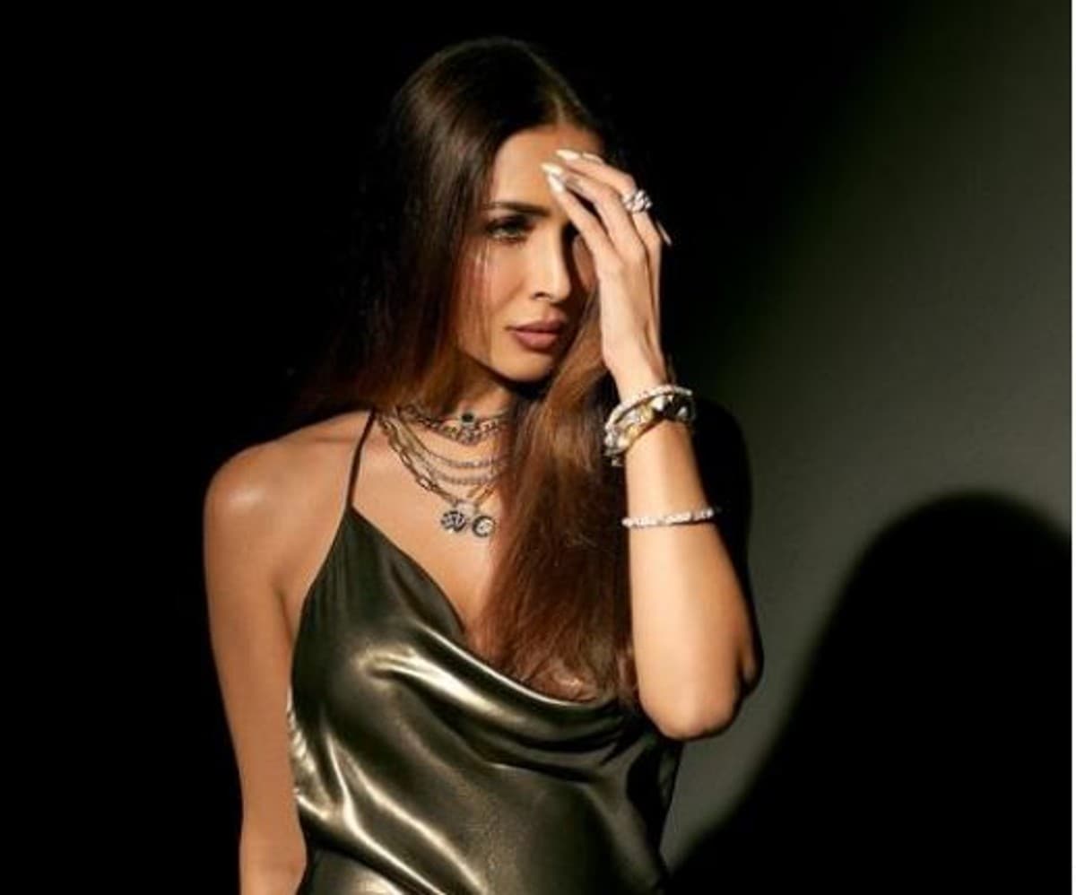 अर्जुन कपूर को छोड़ इस खास दोस्त संग एंजॉय करती दिखीं मलाइका अरोड़ा, फैंस बोले- आपका हमेशा वाला प्यार...