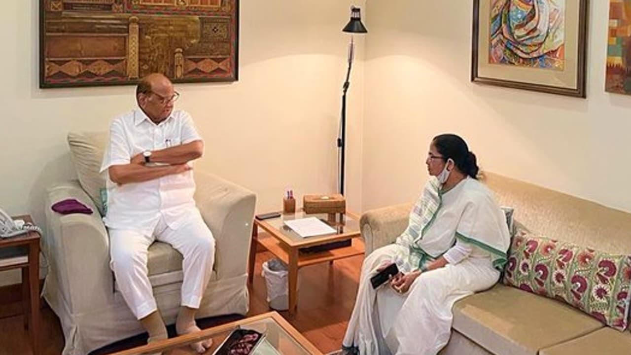 शरद पवार से मिलीं ममता बनर्जी, एनसीपी चीफ ने कहा- राष्ट्रपति चुनाव की दौड़ में शामिल नहीं