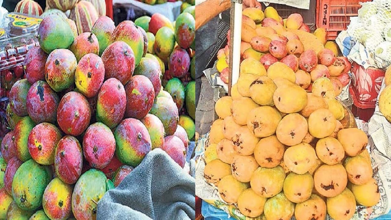 भागलपुर के बाजार में छाया मद्रासी आम, गुलाबखास व बंबई आम की भी बढ़ी मांग, जानें कीमत