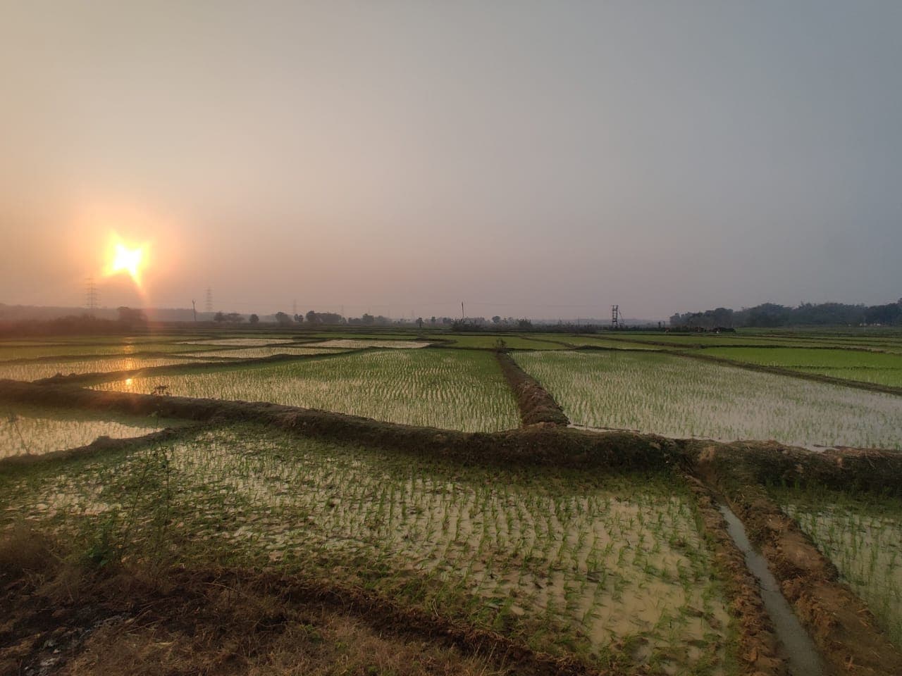 Uttar Pradesh Weather: फिर बदलेगा मौसम, UP के इन जिलों में छाए रहेंगे बादल,IMD ने जारी किया लेटेस्ट अपडेट