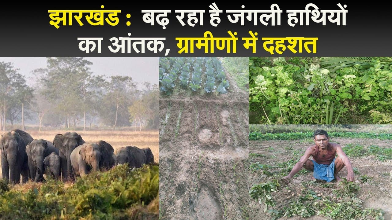 क्या खुलने लगी है कांग्रेस-जेएमएम के गठबंधन की गांठ, कांग्रेस नेता ने हेमंत के खिलाफ खोला मोरचा