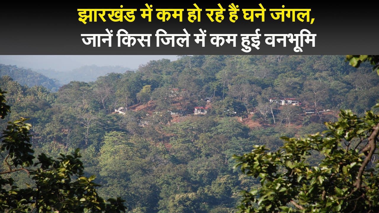 Pawan Singh और नीलम गिरी का गाना 'धनिया हमार नया बाड़ी' मचा रहा धमाल, हुआ 18 मिलियन पार