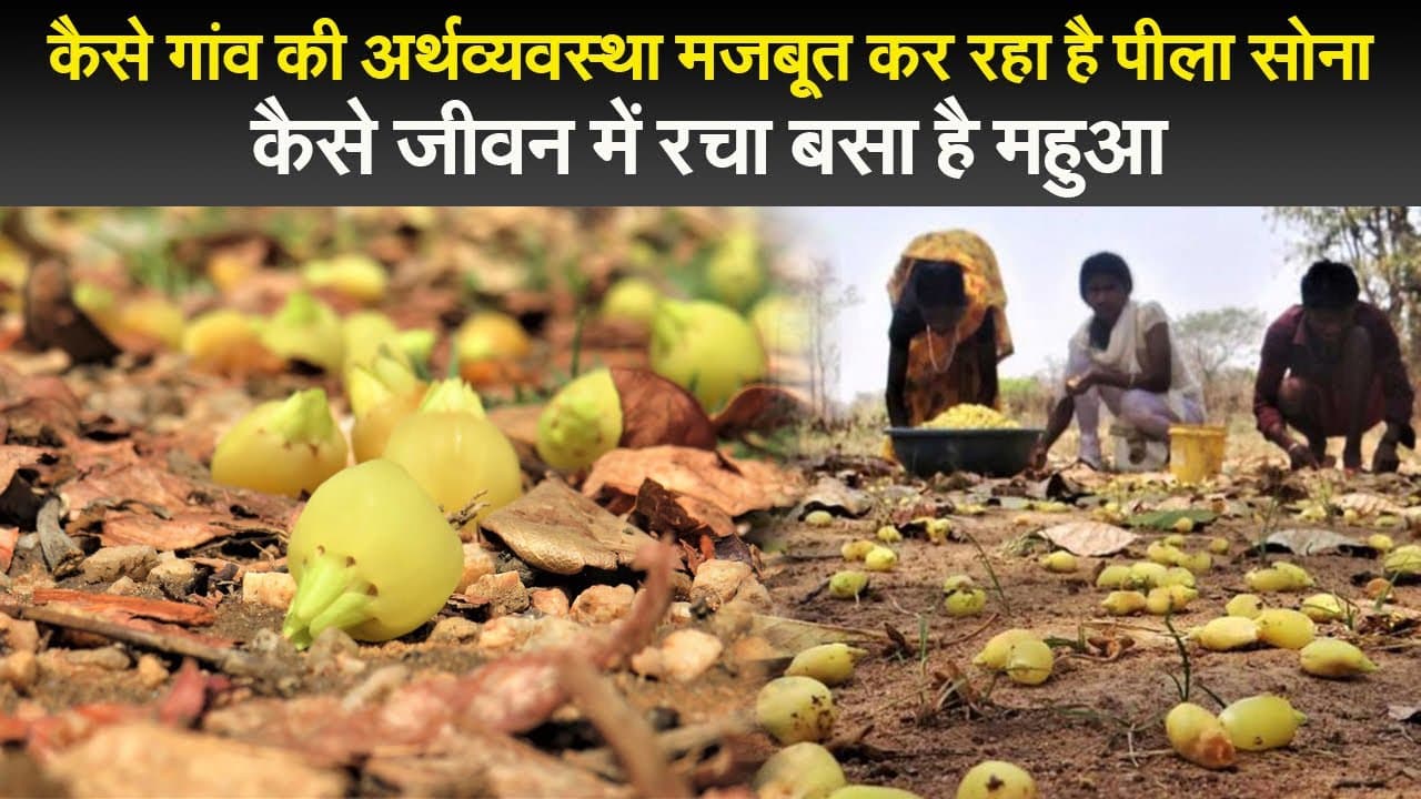 कानपुर में सीएम योगी आदित्यनाथ की ‘जल्लाद’ पुलिस की करतूत, धरने पर बैठे हेल्थ वर्कर्स को बुरी तरह पीटा