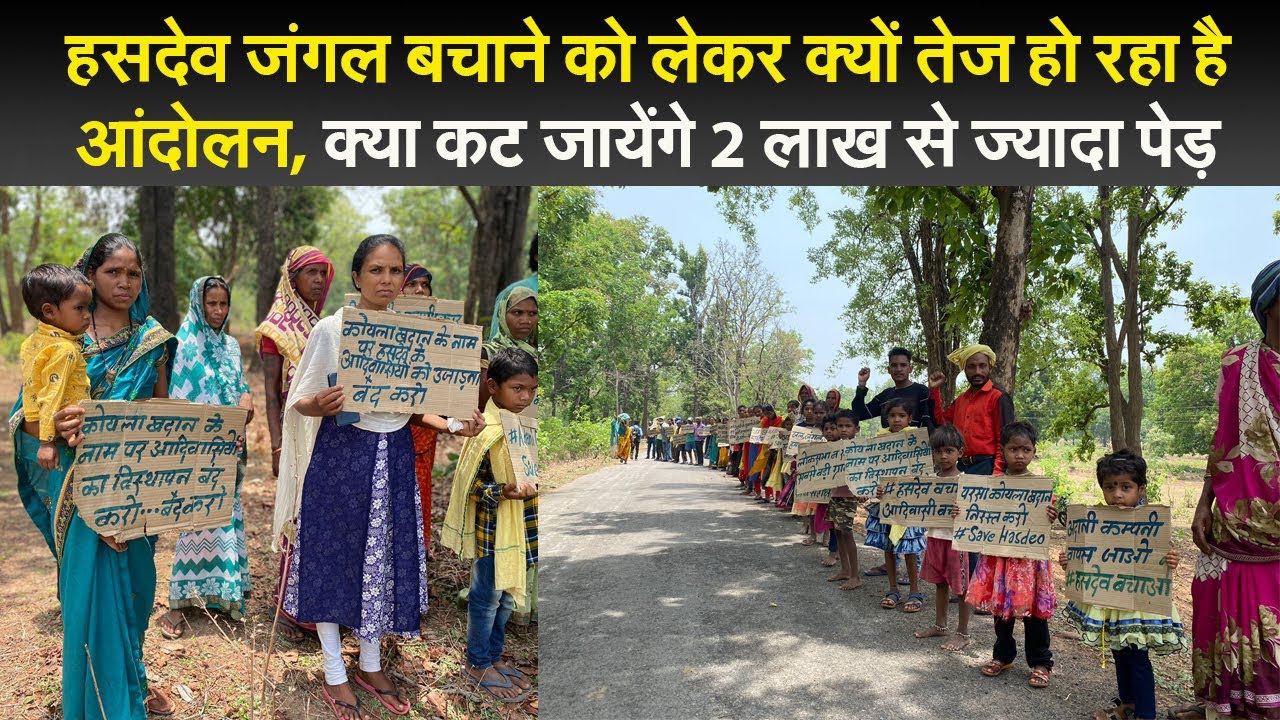 हसदेव जंगल बचाने को लेकर क्यों तेज हो रहा है आंदोलन, क्या कट जायेंगे 2 लाख से ज्यादा पेड़