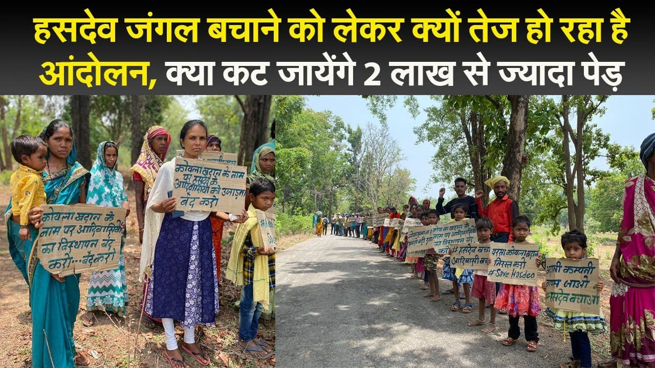 हसदेव जंगल बचाने को लेकर क्यों तेज हो रहा है आंदोलन, कट जायेंगे 2 लाख से ज्यादा पेड़ ?