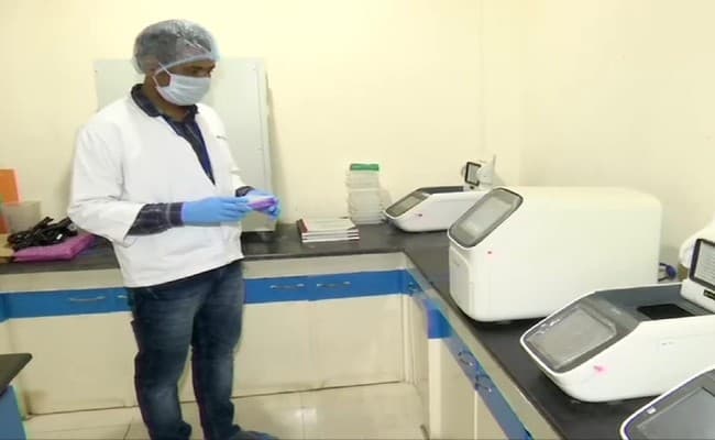 केवल 500 रुपये में हो सकती है कोरोना की टेस्‍ट, जीसीसी बायोटेक इंडिया ने विकसित की स्वदेशी किट