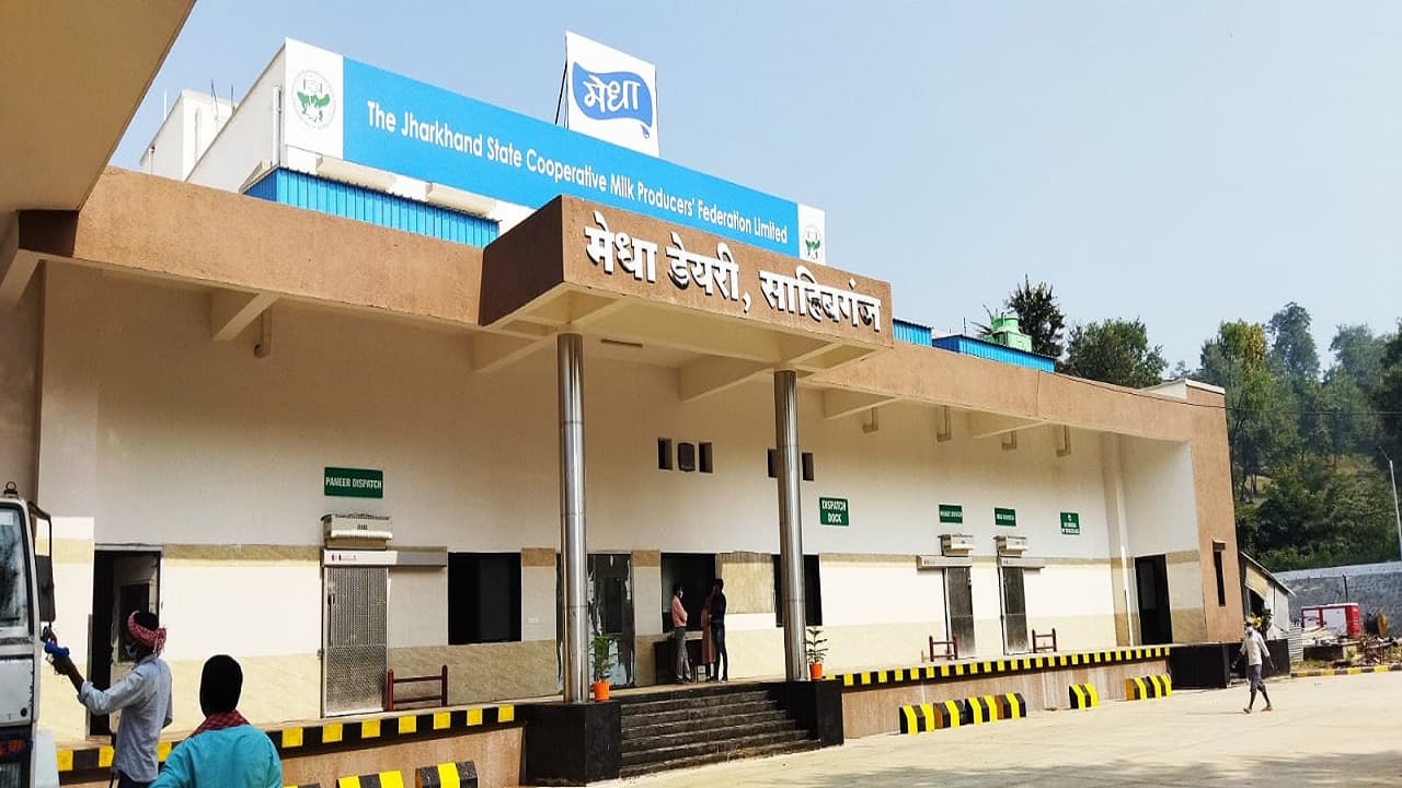 झारखंड में 50 हजार लीटर क्षमता वाला डेयरी प्लांट कब होगा शुरू, किसानों को दूध की मिलने लगी अच्छी कीमत झारखंड में 50 हजार लीटर क्षमता वाला डेयरी प्लांट कब होगा शुरू, किसानों को दूध की मिलने लगी अच्छी कीमत