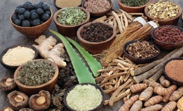 परंपरागत चिकित्सा का विस्तार