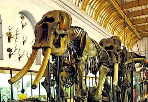 बिहार को इस साल दो बेहतरीन संग्रहालयों की मिलेगी सौगात, पटना में बापू टावर और वैशाली में बुद्ध सम्यक