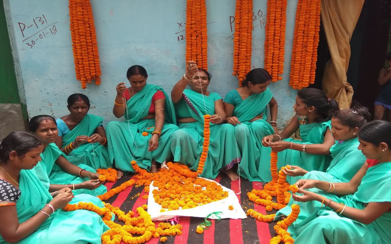 Chhath Puja: गुमला में गेंदा फूल और गन्ने की नहीं होगी कमी, किसानों को अच्छी आमदनी की उम्मीद