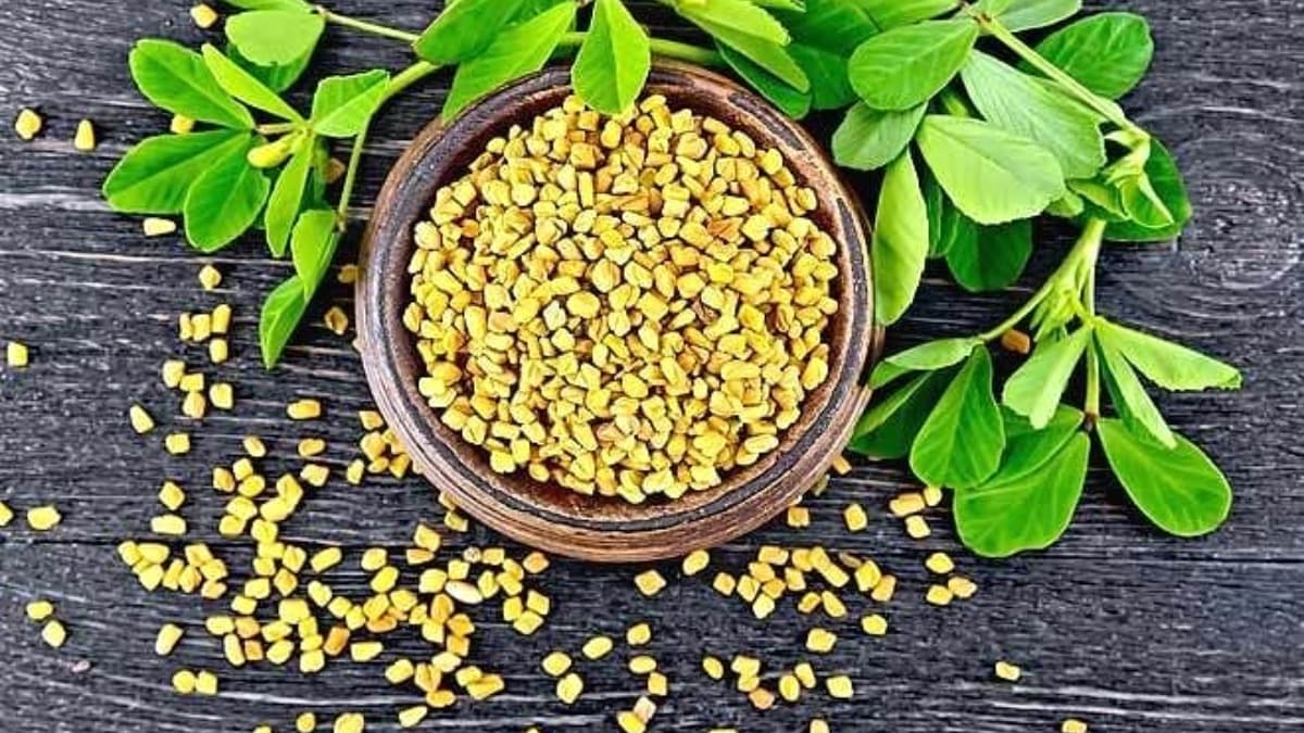 Methi benefits : मेथी से दूर होती है स्वास्थ्य संबंधी ये परेशानी, जानें Methi Water बनाने का तरीका, फायदे