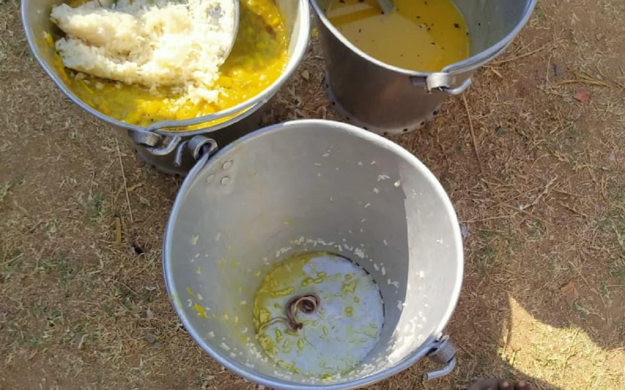 Mid Day Meal: मिड-डे मील में मिला मृत सांप, विषाक्त भोजन से बीस से अधिक विद्यार्थी बीमार, अभिभावकों का हंगामा