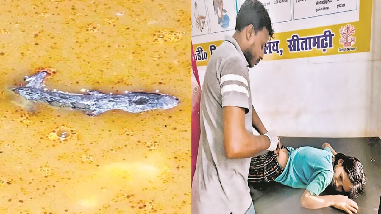 बिहार: सीतामढ़ी व वैशाली के स्कूलों में मिड डे मील में मिली छिपकली, भोजन करके 100 से अधिक बच्चे पड़े बीमार