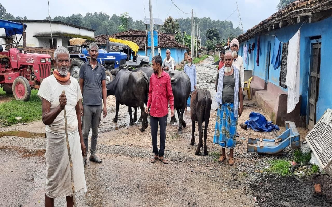 झारखंड में नक्सलियों के गढ़ रहे दुरूप गांव की दूध उत्पादन से बदल रही पहचान, Medha Dairy से जगी उम्मीद