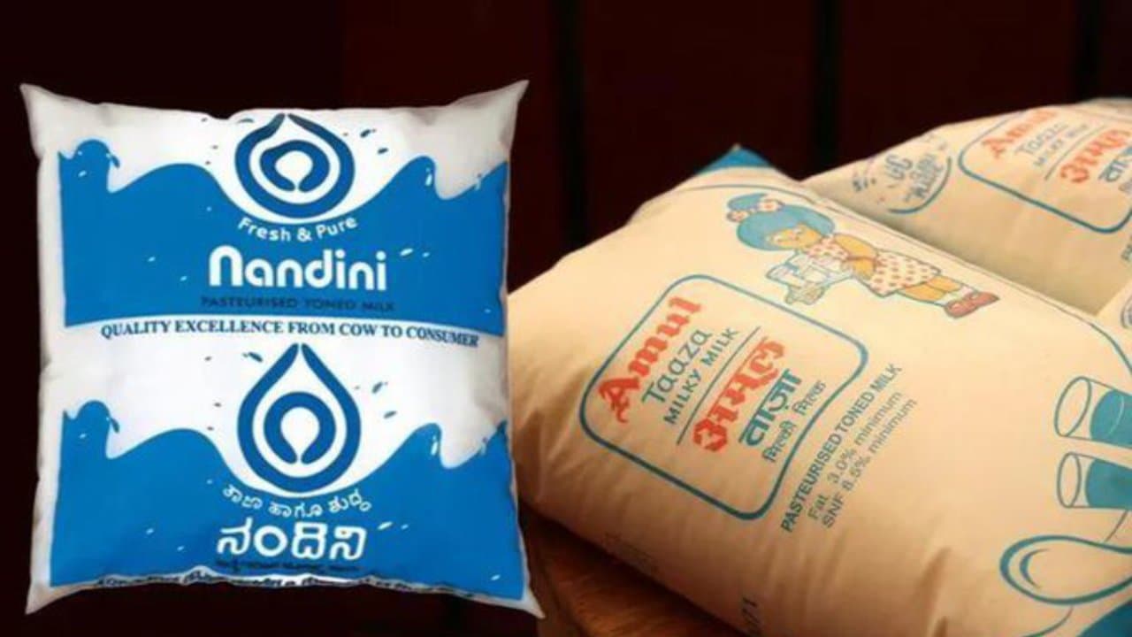 कर्नाटक में 'नंदिनी' को टक्कर दे पाएगी 'अमूल', जानें क्यों हो रहा 'दूध' पर राजनीतिक 'युद्ध'