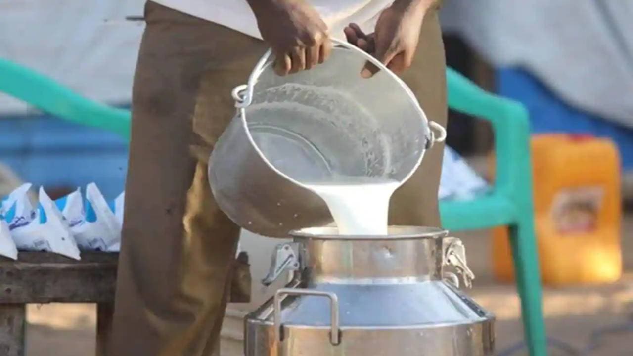 भारत में क्यों बढ़ रहे दूध के दाम? 46 से 66 रुपये प्रति लीटर तक पहुंची कीमत