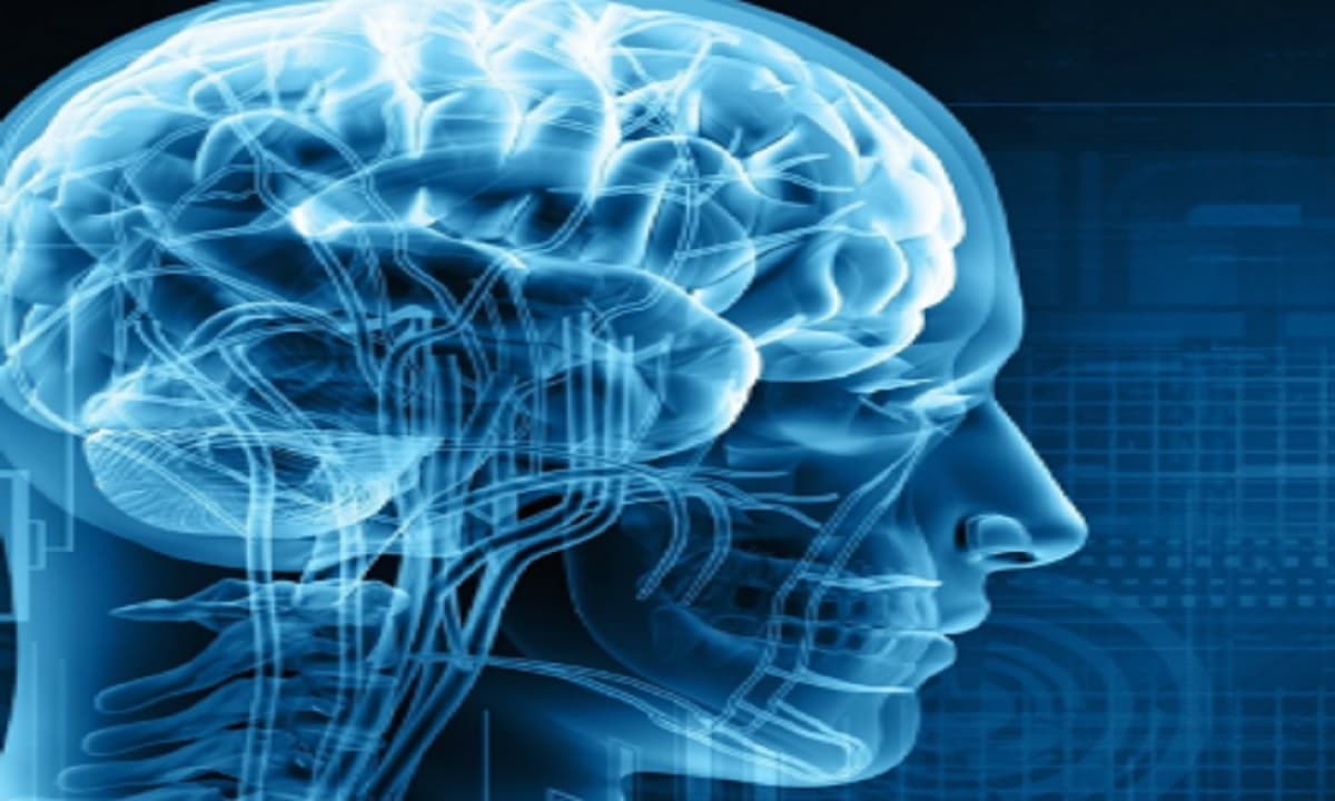 चित्त का शोध