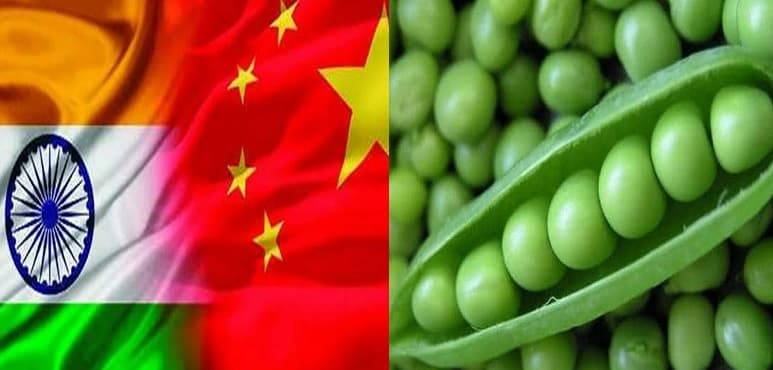 Happy Women's Day 2020: अमिताभ बच्‍चन और शाहरुख खान से ज्यादा फीस ले चुकी हैं ये बॉलीवुड  एक्ट्रेसेस