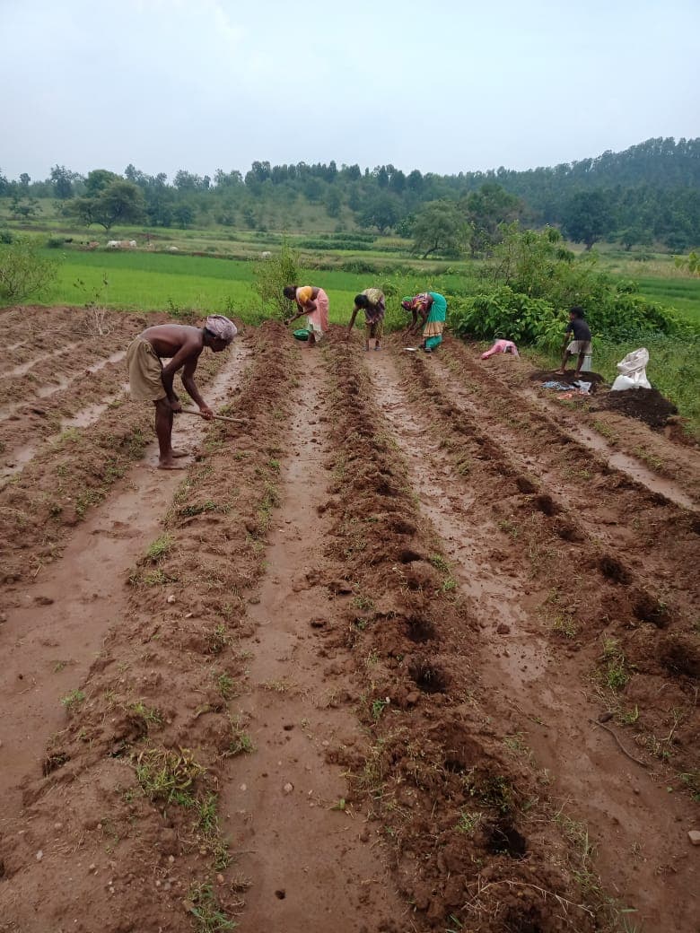 MGNREGA News : कोरोना महामारी के बीच मनरेगा में झारखंड की बड़ी उपलब्धि, मानव दिवस सृजन में देश में मिला सातवां स्थान