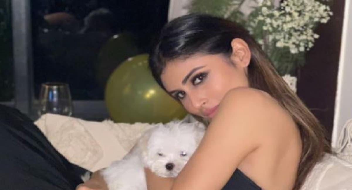 मौनी रॉय के शादी की खबरों के बीच बॉयफ्रेंड सूरज नांबियार से मिला ये प्यारा गिफ्ट, एक्ट्रेस ने शेयर की तसवीरें