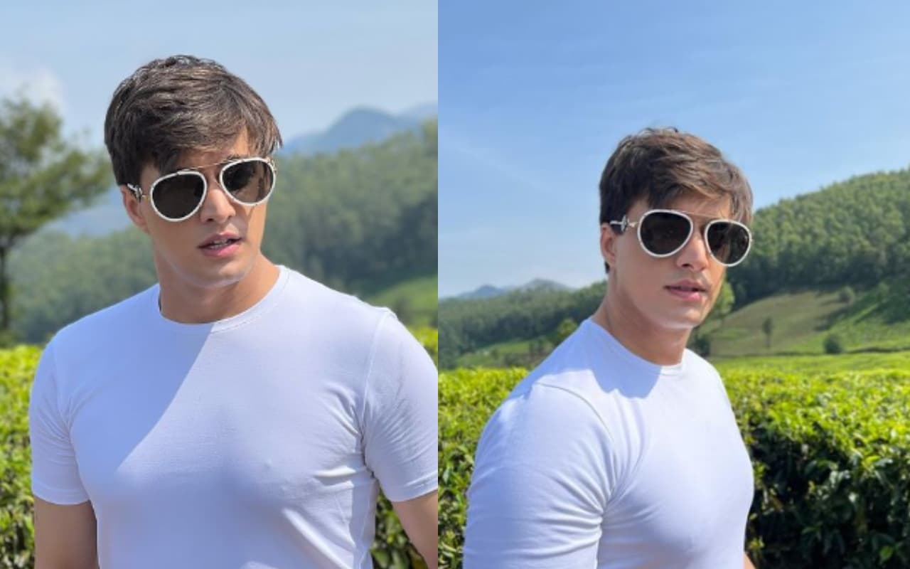 Anupama में एंट्री लेंगे 'ये रिश्ता क्या कहलाता है' के कार्तिक? मोहसिन खान की इस एक्ट्रेस के साथ तसवीर वायरल