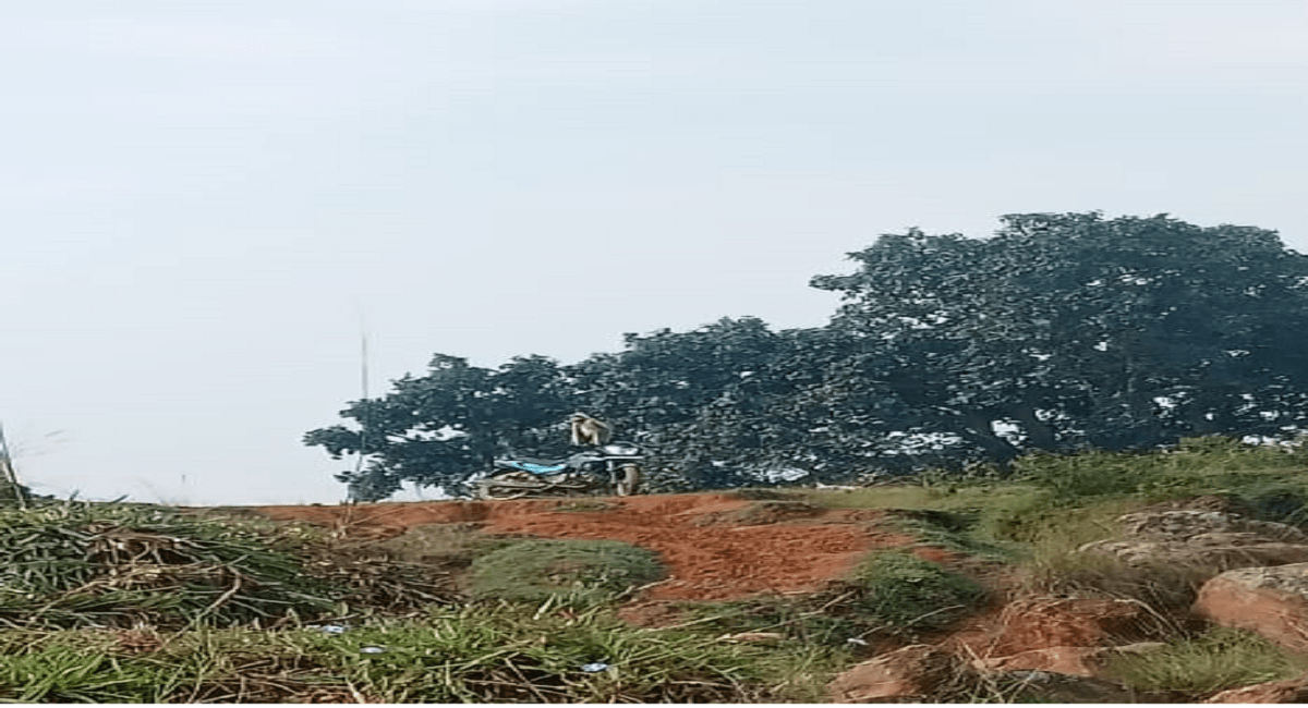 Jharkhand News : रांची में लंगूरों का आतंक, जख्मी लोगों का रिम्स में चल रहा इलाज, वन विभाग की टीम मुस्तैद