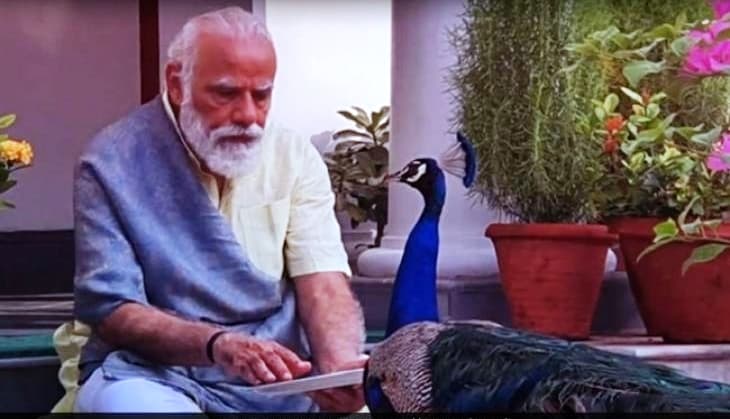 PM Modi: प्रधानमंत्री मोदी को देखते ही उनके पास आ गया मोर, देखिए खास दोस्ती की शानदार वीडियो