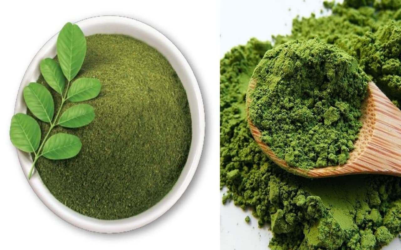 Moringa Powder Benefits: बीमारियों का रामबाण इलाज है सहजन की पत्तियां, सर्दियों में खाने से होते हें ये फायदे