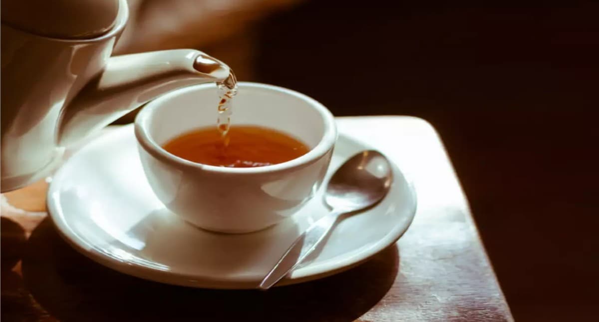 Air Pollution: रोज की चाय में मिलाएं ये चीजें, वायु प्रदूषण का असर होगा कम, इम्यून सिस्टम होगा मजबूत